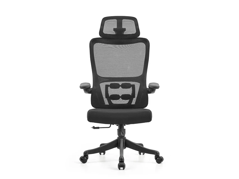 LR-2509A Ergonomic Mesh Office Chair with 4-Roller Lumbar Support