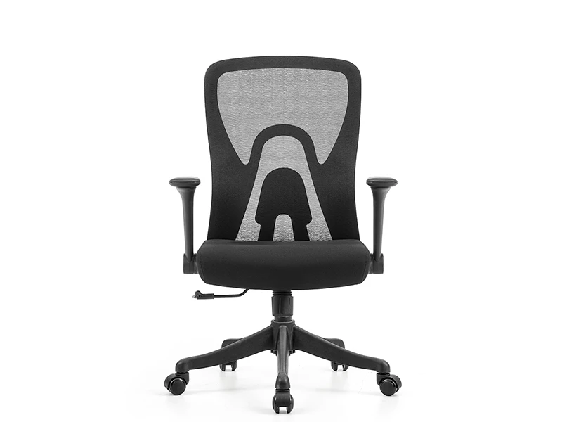 Black Ergonomic Mesh Office Chair with Lumbar Support and 2D Armrests