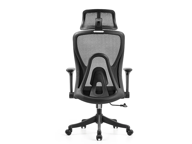 Ergonomic Mesh Office Chair | High Back Desk Chair with Lumbar Support