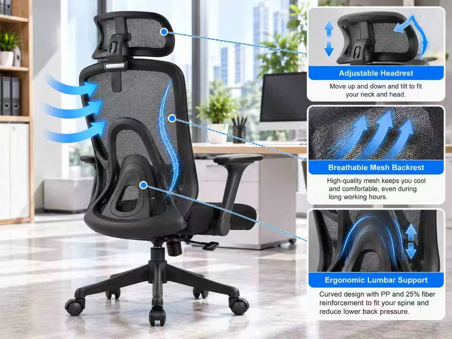 Curved Lumbar Support