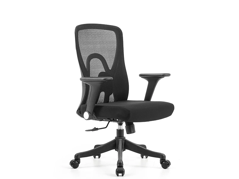 Black Ergonomic Mesh Office Chair with Lumbar Support and 2D Armrests