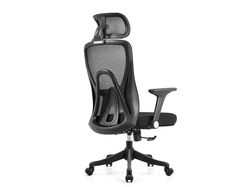 Ergonomic Mesh Office Chair | High Back Desk Chair with Lumbar Support