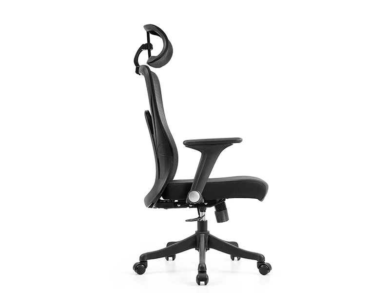 Ergonomic Mesh Office Chair | High Back Desk Chair with Lumbar Support