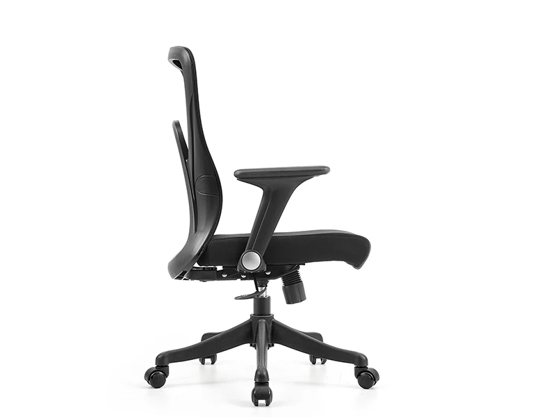 Black Ergonomic Mesh Office Chair with Lumbar Support and 2D Armrests