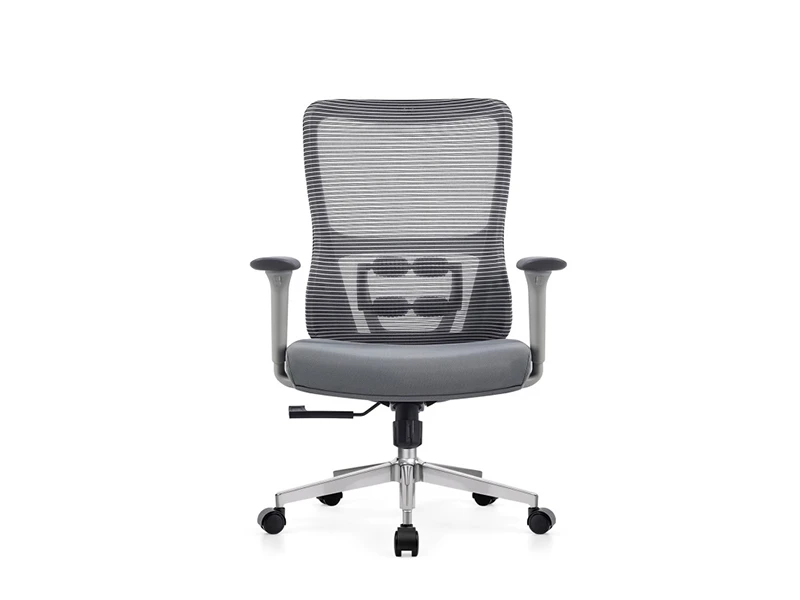 Gray Ergonomic Mesh Office Chair with Adjustable Armrests & Lumbar Support