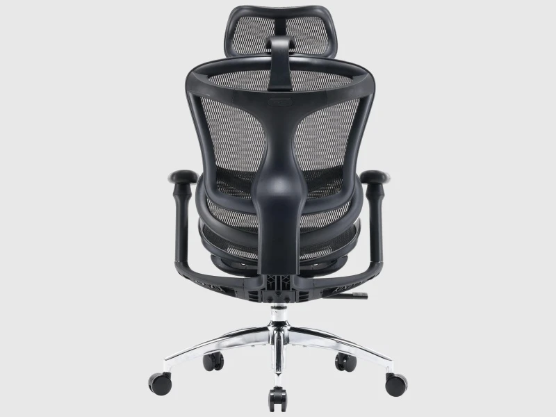 4-Roller Lumbar Support