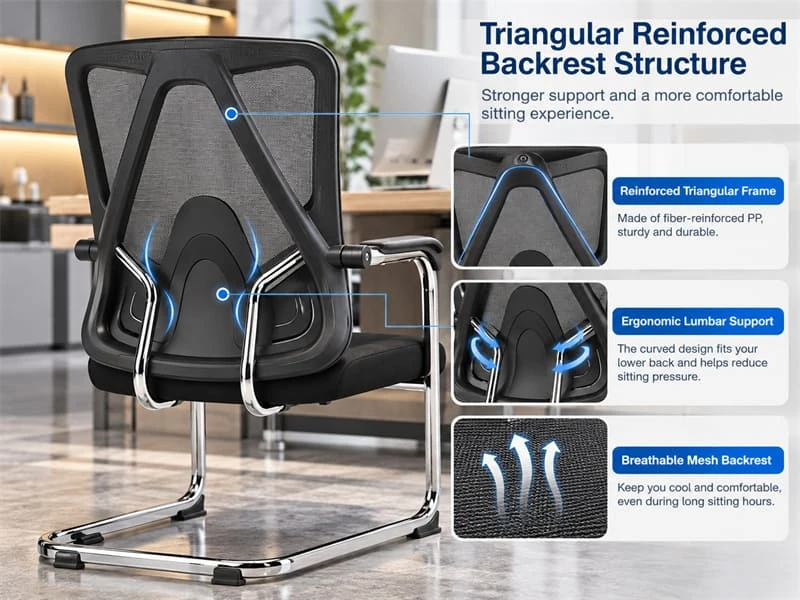 Distinctive Triangular Back Frame