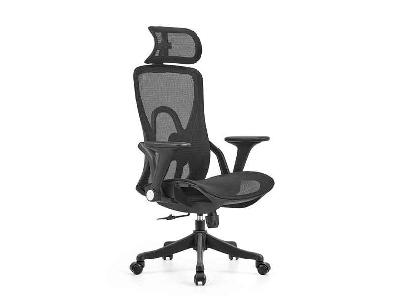 Full Mesh Ergonomic Office Chair | High Back Office Task Chair