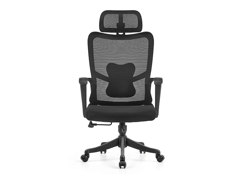 Black Ergonomic Mesh Office Chair with Adjustable Headrest